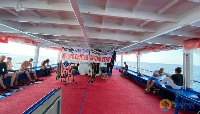 الغوص في سيدا - رحلات  في سيدا