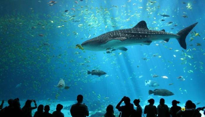AQUARIUM � ANTALYA - EXCURSIONS � ANTALYA