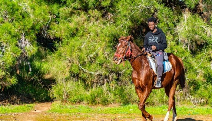 �QUITATION � KEMER - EXCURSIONS � KEMER