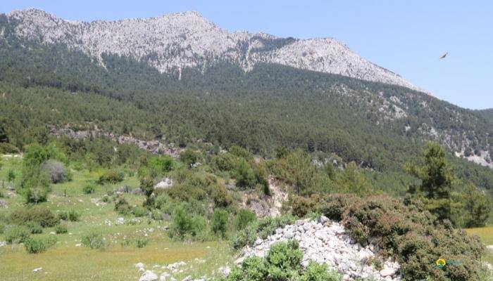 JEEP SAFARI I KEMER - UDFLUGTER I KEMER
