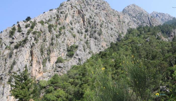 JIP SAFARI IN KEMER - EXCURSIONS IN KEMER