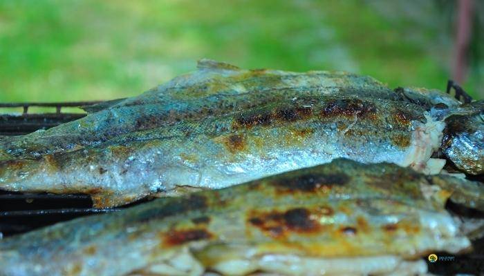 KARACA�REN'DE BALIK AVI VE P�KN�K - KEMER GEZ�LECEK YERLER