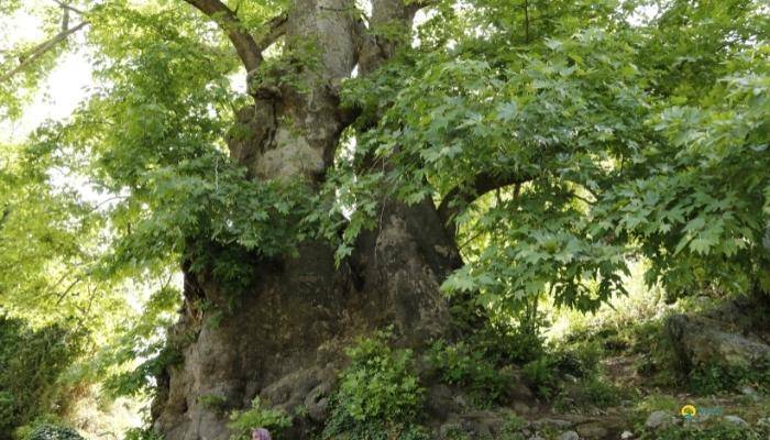 KEMER C�P SAFAR� - KEMER GEZ�LECEK YERLER