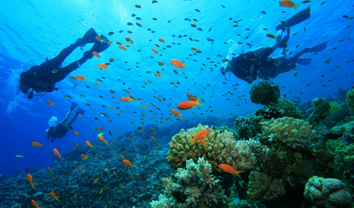 MARMAR�S DALI� TURU - MARMAR�S GEZ�LECEK YERLER VE TURLAR