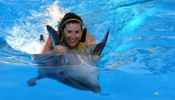 ПЛАВАНИЕ С ДЕЛЬФИНАМИ В АНТАЛИИ - ЭКСКУРСИИ В АНТАЛИИ