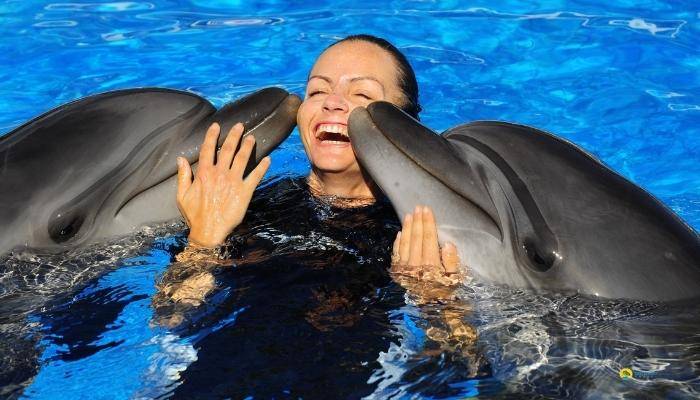 ПЛАВАНИЕ С ДЕЛЬФИНАМИ В КЕМЕРЕ - ЭКСКУРСИИ В КЕМЕРЕ