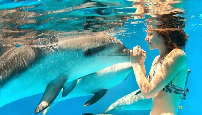 ПЛАВАНИЕ С ДЕЛЬФИНАМИ В КЕМЕРЕ - ЭКСКУРСИИ В КЕМЕРЕ