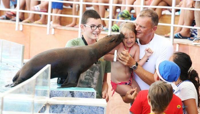 ШОУ ДЕЛЬФИНОВ ИЗ АНТАЛИИ - ЭКСКУРСИИ В АНТАЛИИ